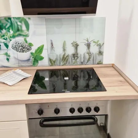 Haus Fuer Monteure In Budenheim, Zentral Gelegen Budenheim